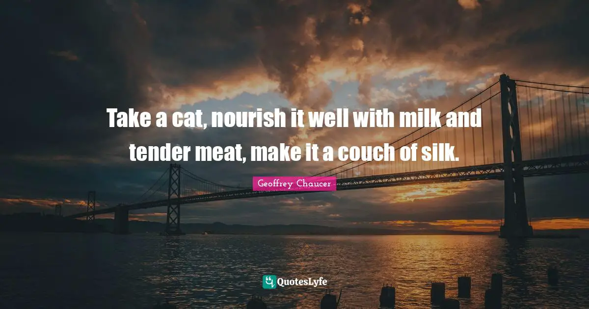 Take a cat, nourish it well with milk and tender meat, make it a couch of silk.