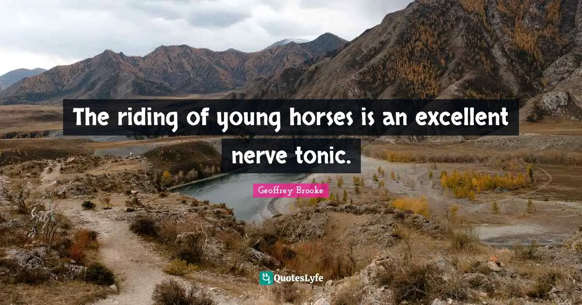 The riding of young horses is an excellent nerve tonic.