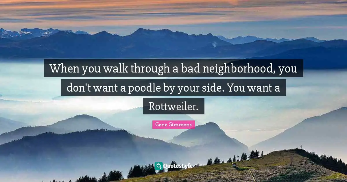When you walk through a bad neighborhood, you don't want a poodle by your side. You want a Rottweiler.