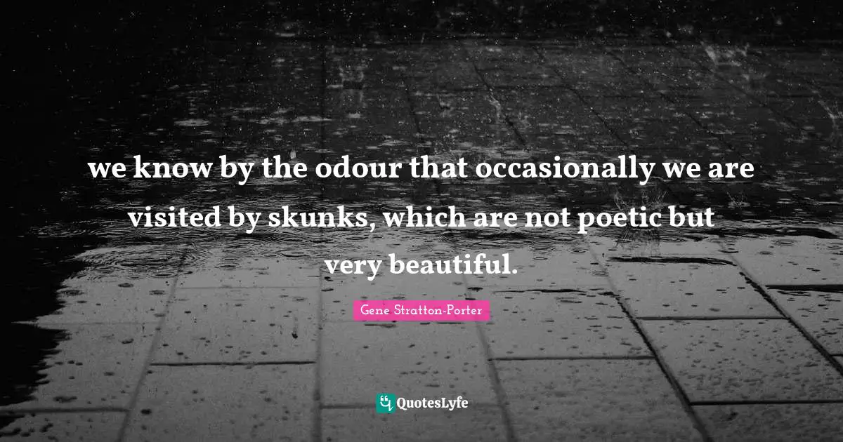 we know by the odour that occasionally we are visited by skunks, which are not poetic but very beautiful.