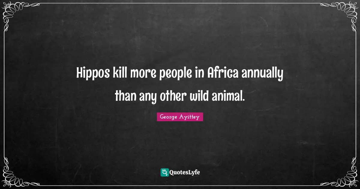 George Ayittey Quotes: "Hippos kill more people in Africa annually than any other wild animal."