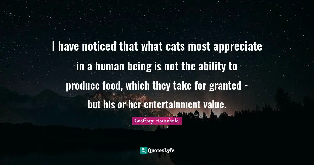 Granted Quotes: "I have noticed that what cats most appreciate in a human being is not the ability to produce food, which they take for granted - but his or her entertainment value."