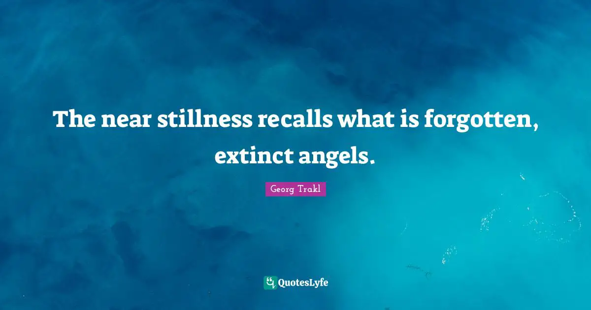 The near stillness recalls what is forgotten, extinct angels.