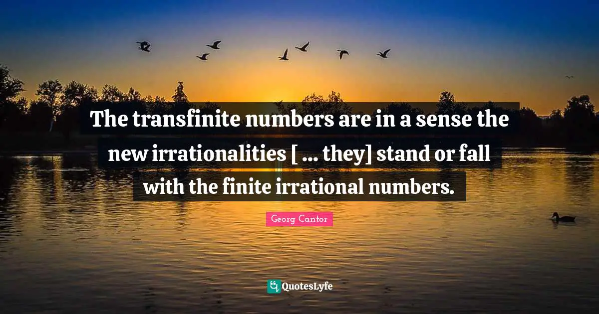 The transfinite numbers are in a sense the new irrationalities [ ... they] stand or fall with the finite irrational numbers.