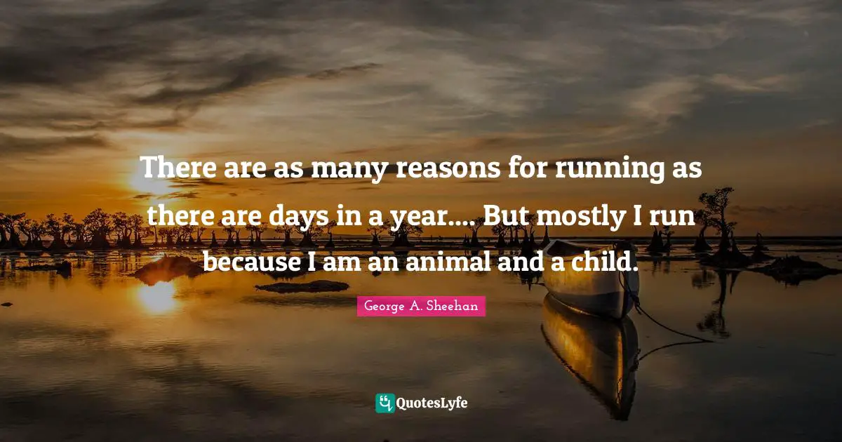 There are as many reasons for running as there are days in a year.... But mostly I run because I am an animal and a child.
