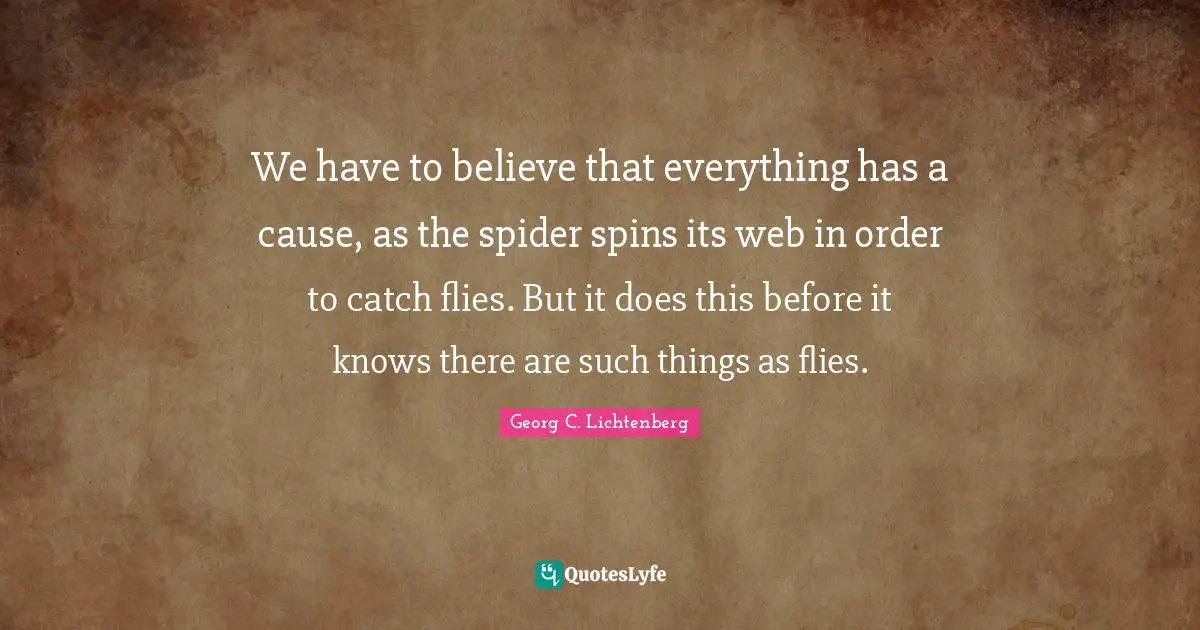 We have to believe that everything has a cause, as the spider spins its web in order to catch flies. But it does this before it knows there are such things as flies.