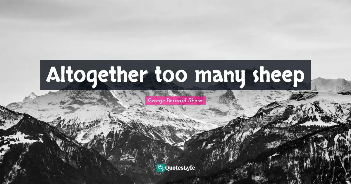 Altogether too many sheep