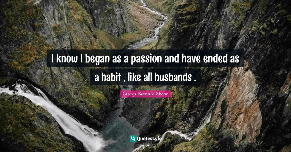 I know I began as a passion and have ended as a habit , like all husbands .