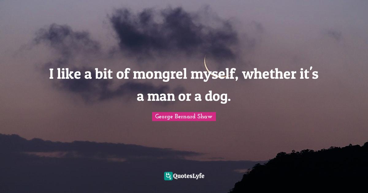 I like a bit of mongrel myself, whether it's a man or a dog.