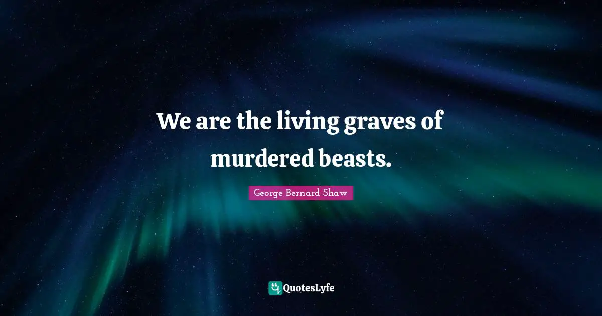 Diet Quotes: "We are the living graves of murdered beasts."