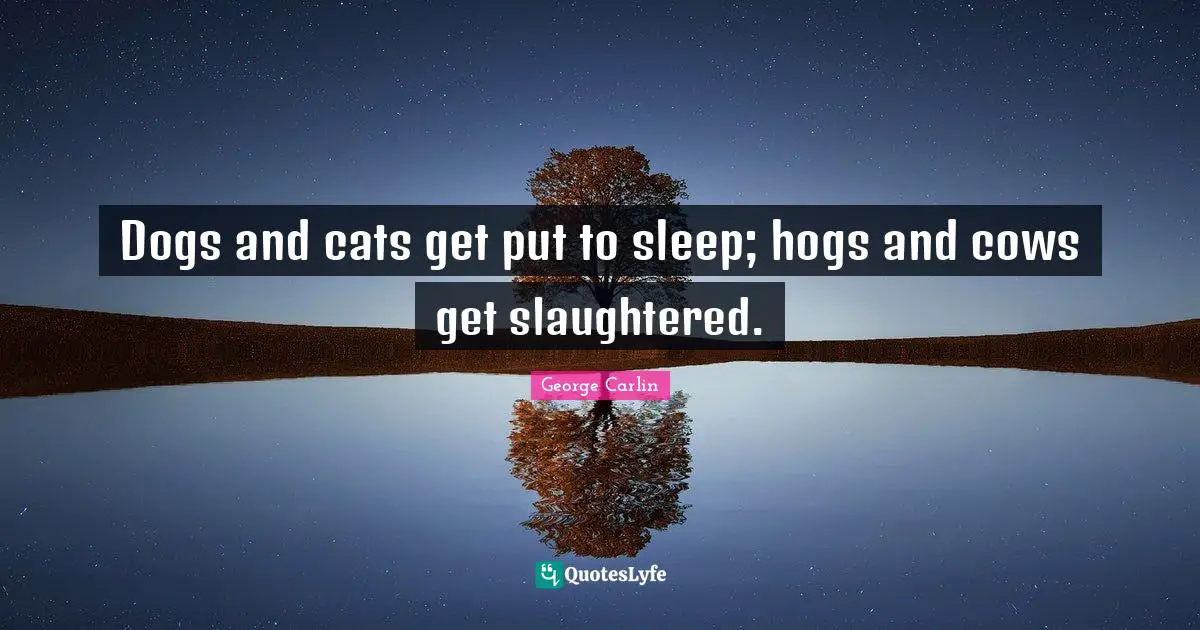 Dogs and cats get put to sleep; hogs and cows get slaughtered.