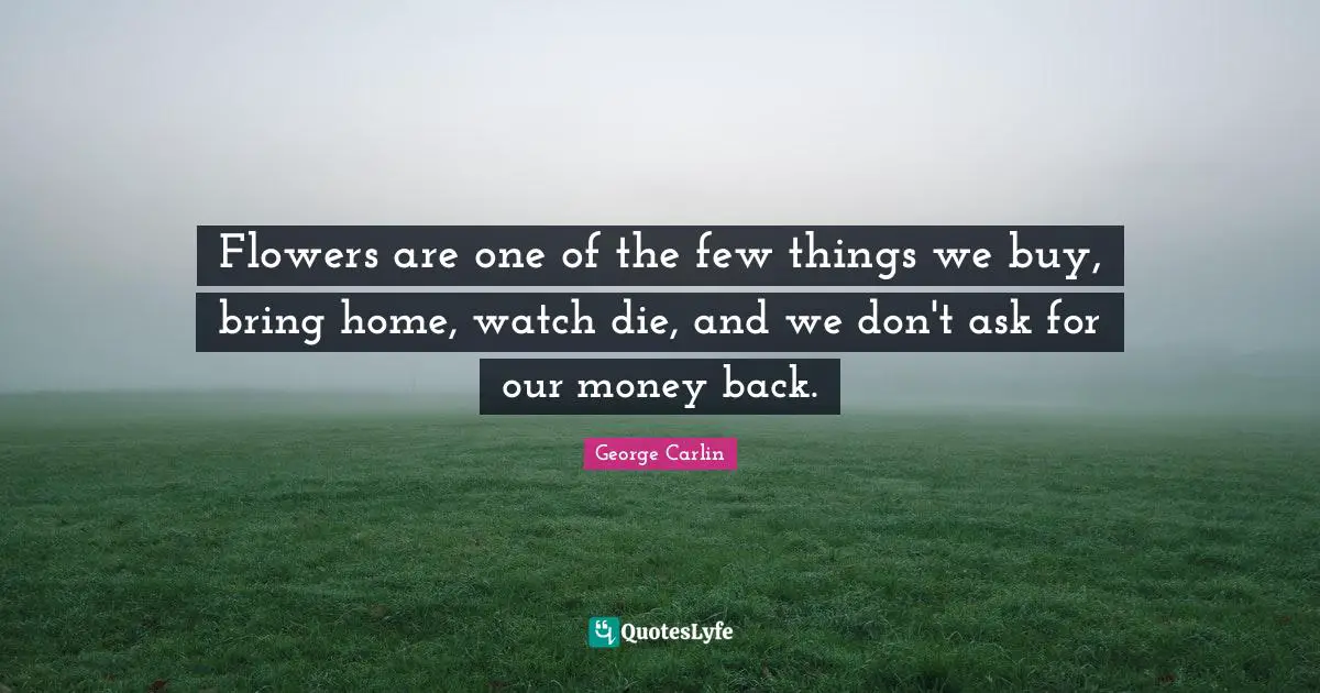 Flowers are one of the few things we buy, bring home, watch die, and we don't ask for our money back.