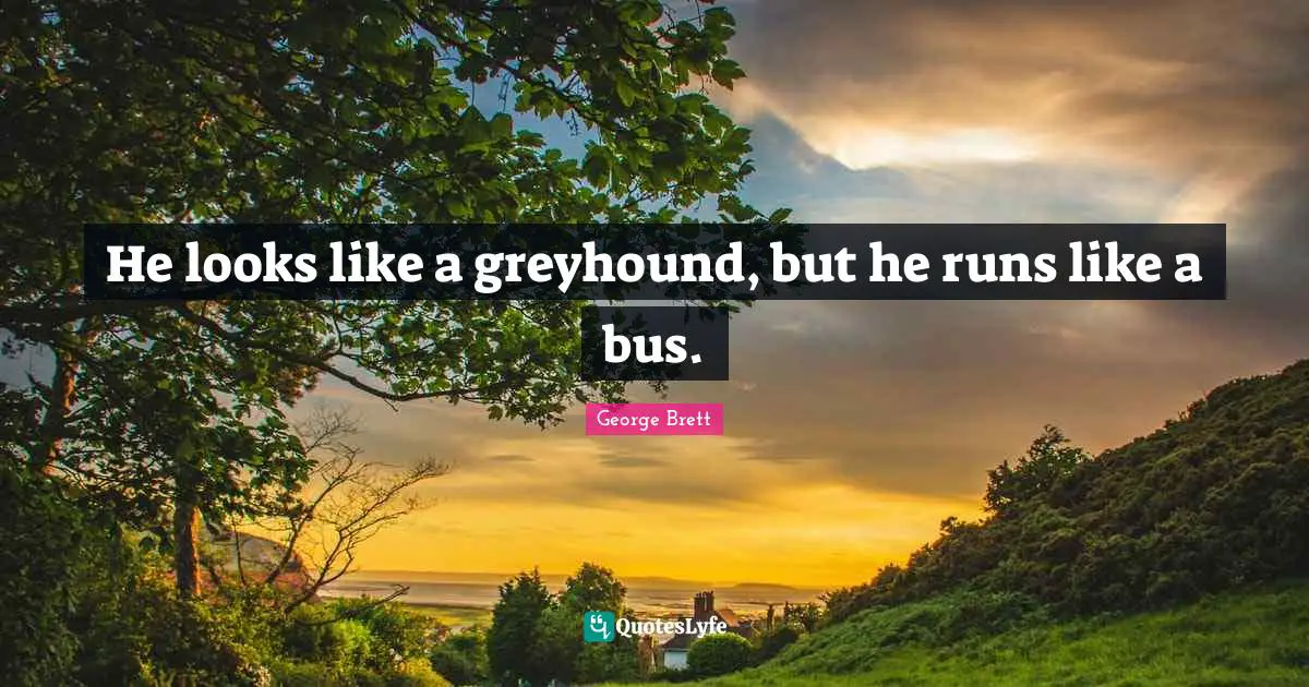 He looks like a greyhound, but he runs like a bus.