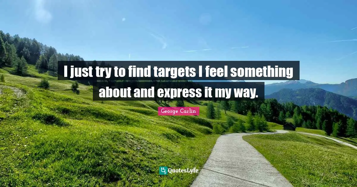 I just try to find targets I feel something about and express it my way.