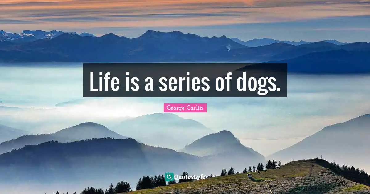 Life is a series of dogs.