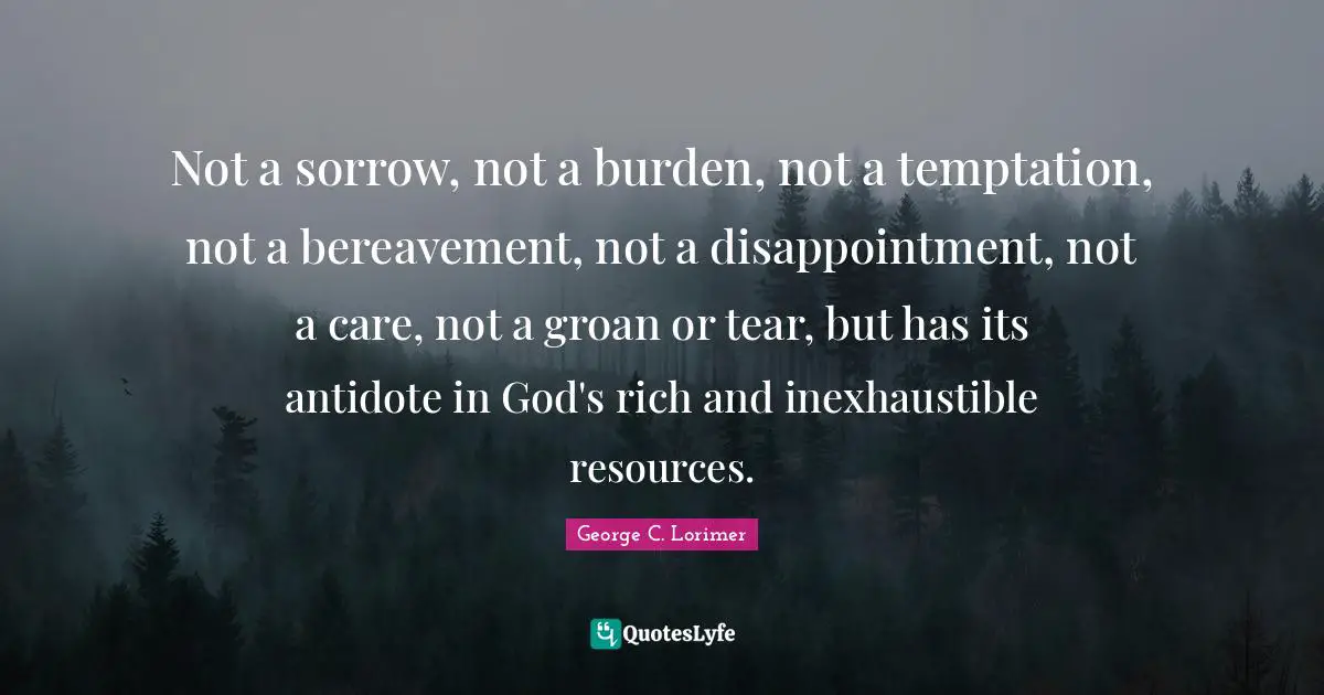Not a sorrow, not a burden, not a temptation, not a bereavement, not a disappointment, not a care, not a groan or tear, but has its antidote in God's rich and inexhaustible resources.