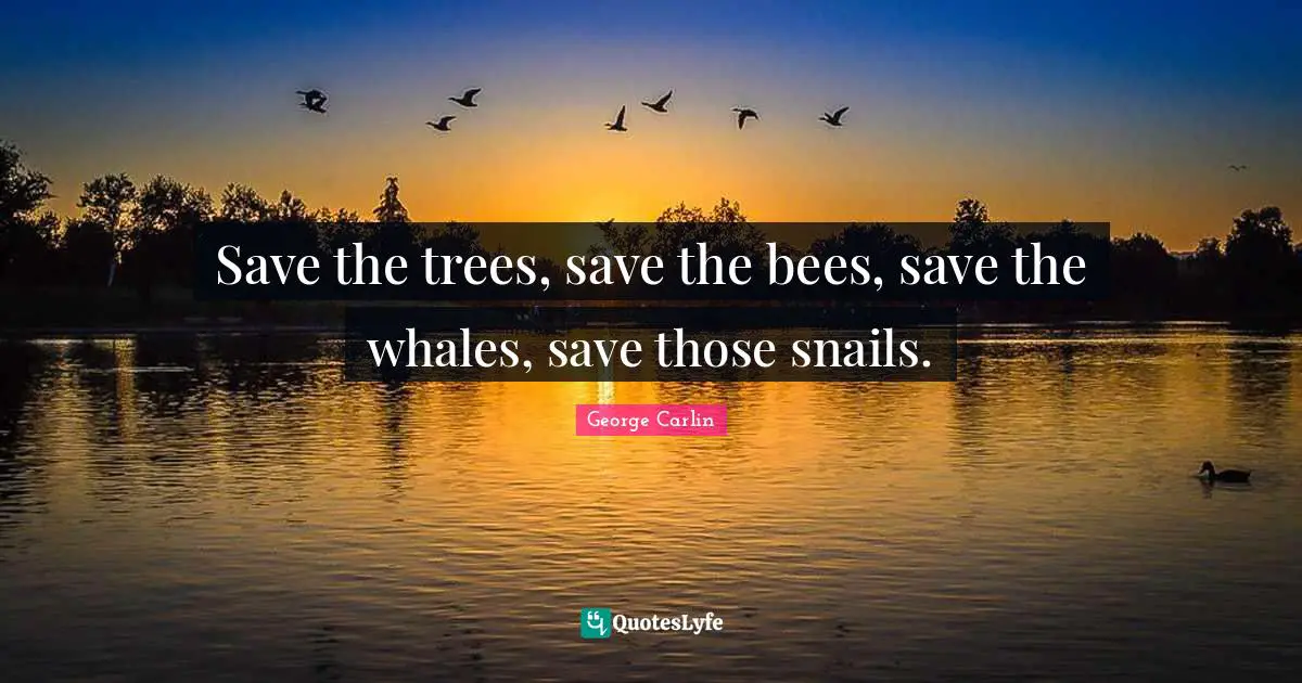 Save the trees, save the bees, save the whales, save those snails.