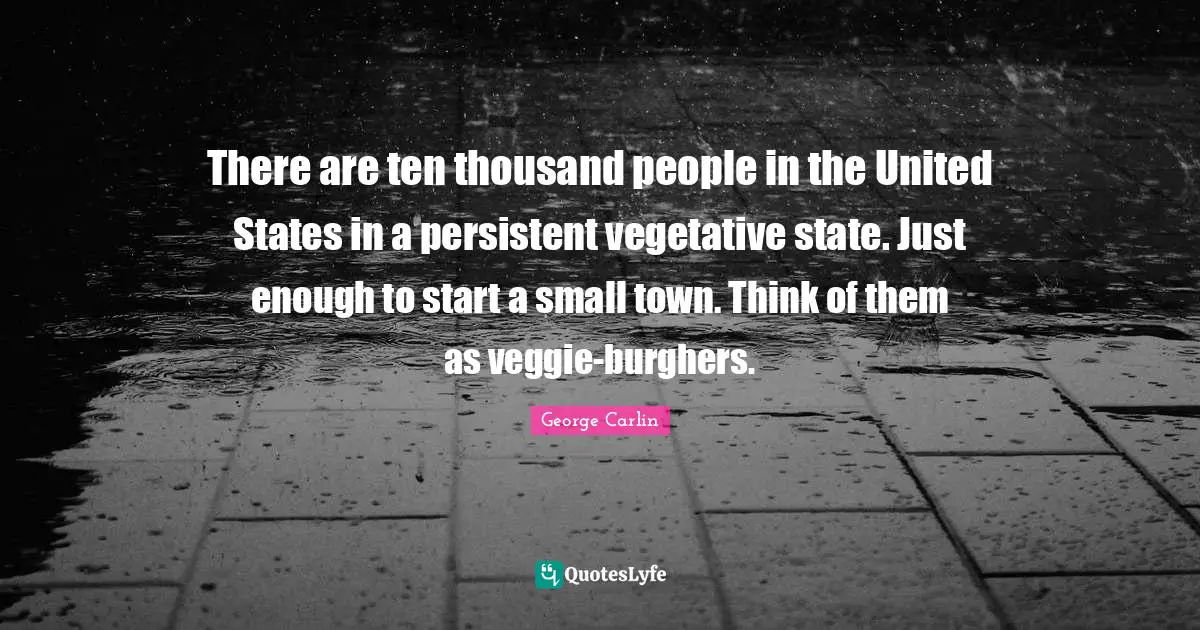There are ten thousand people in the United States in a persistent vegetative state. Just enough to start a small town. Think of them as veggie-burghers.