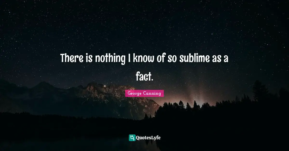 There is nothing I know of so sublime as a fact.