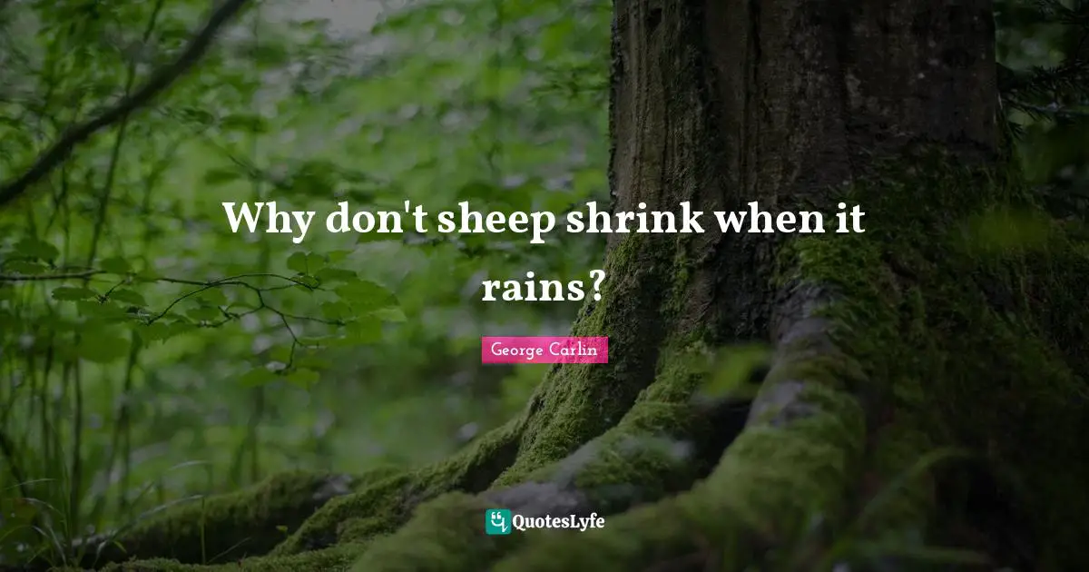 Shrinks Quotes: "Why don't sheep shrink when it rains?"