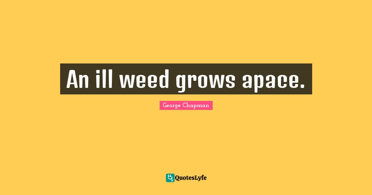 An ill weed grows apace.