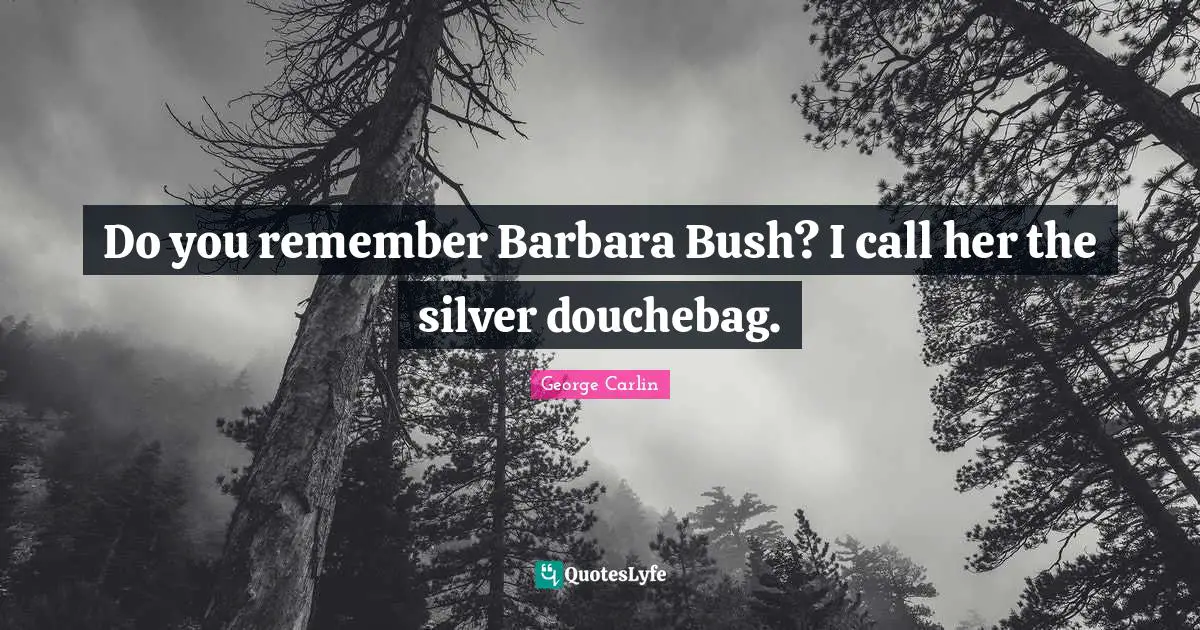 Do you remember Barbara Bush? I call her the silver douchebag.
