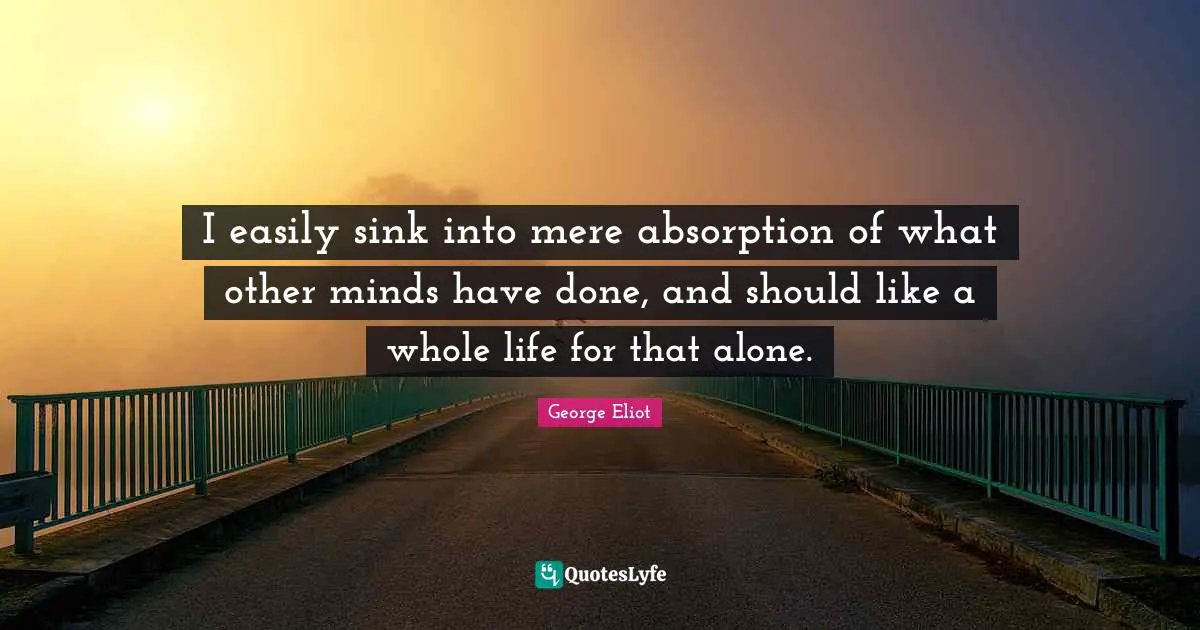 I easily sink into mere absorption of what other minds have done, and should like a whole life for that alone.