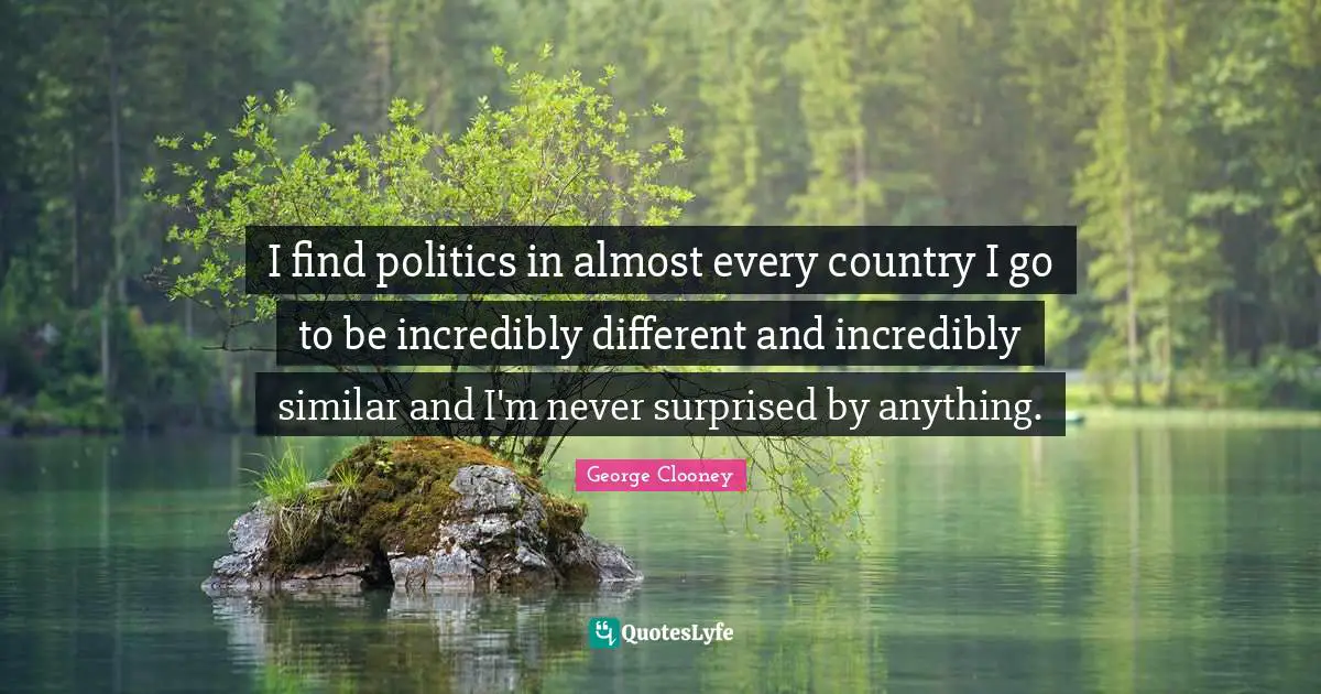 I find politics in almost every country I go to be incredibly different and incredibly similar and I'm never surprised by anything.