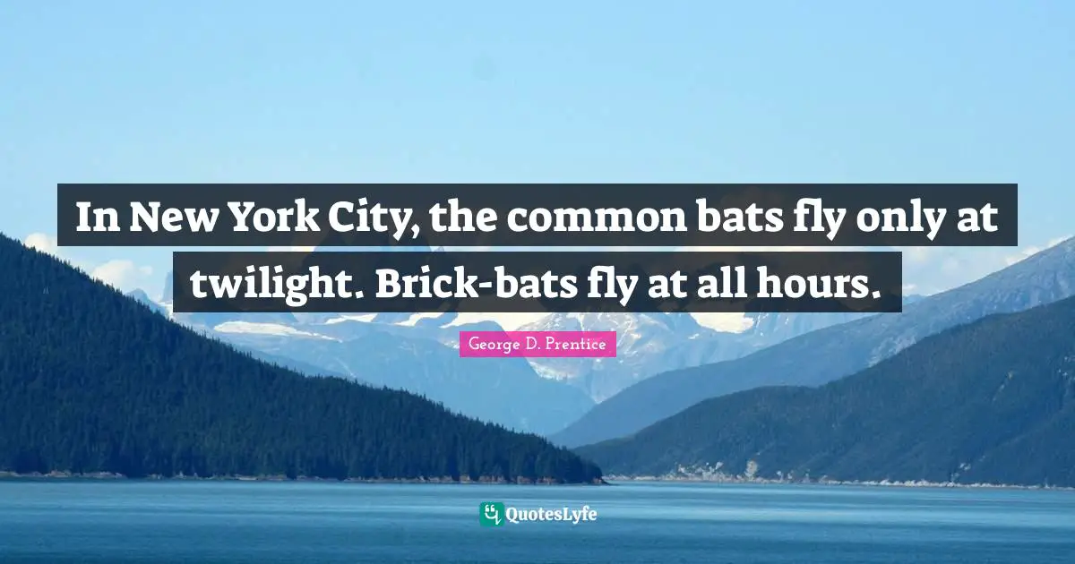 PRENTICE Quotes: "In New York City, the common bats fly only at twilight. Brick-bats fly at all hours."