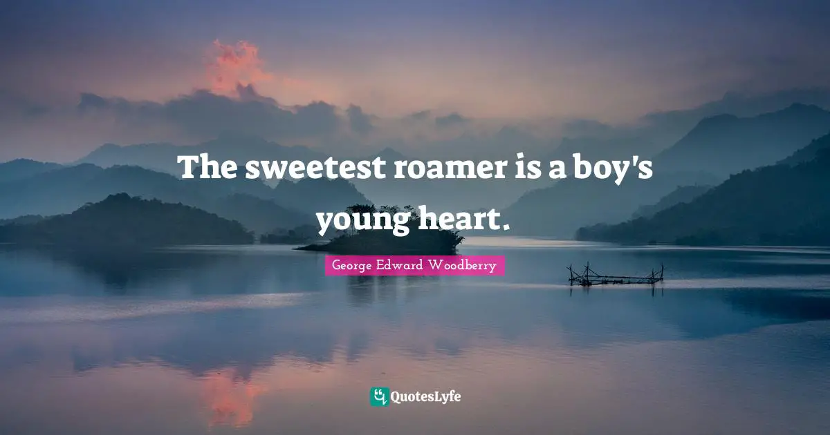 The sweetest roamer is a boy's young heart.