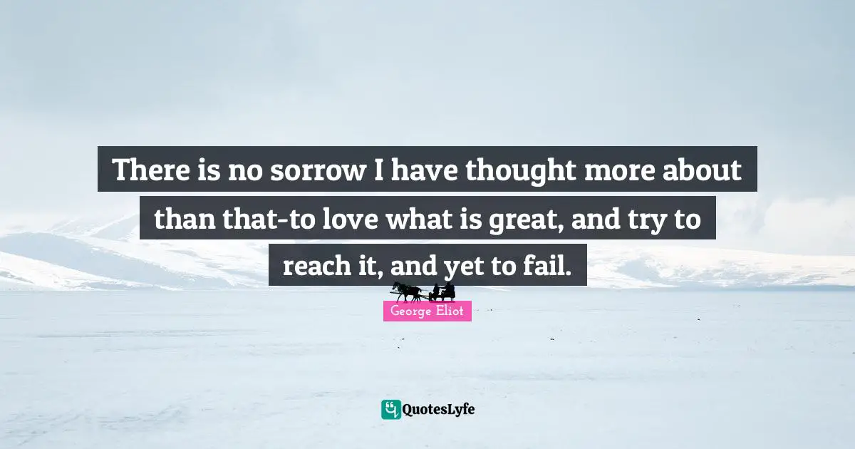 There is no sorrow I have thought more about than that-to love what is great, and try to reach it, and yet to fail.