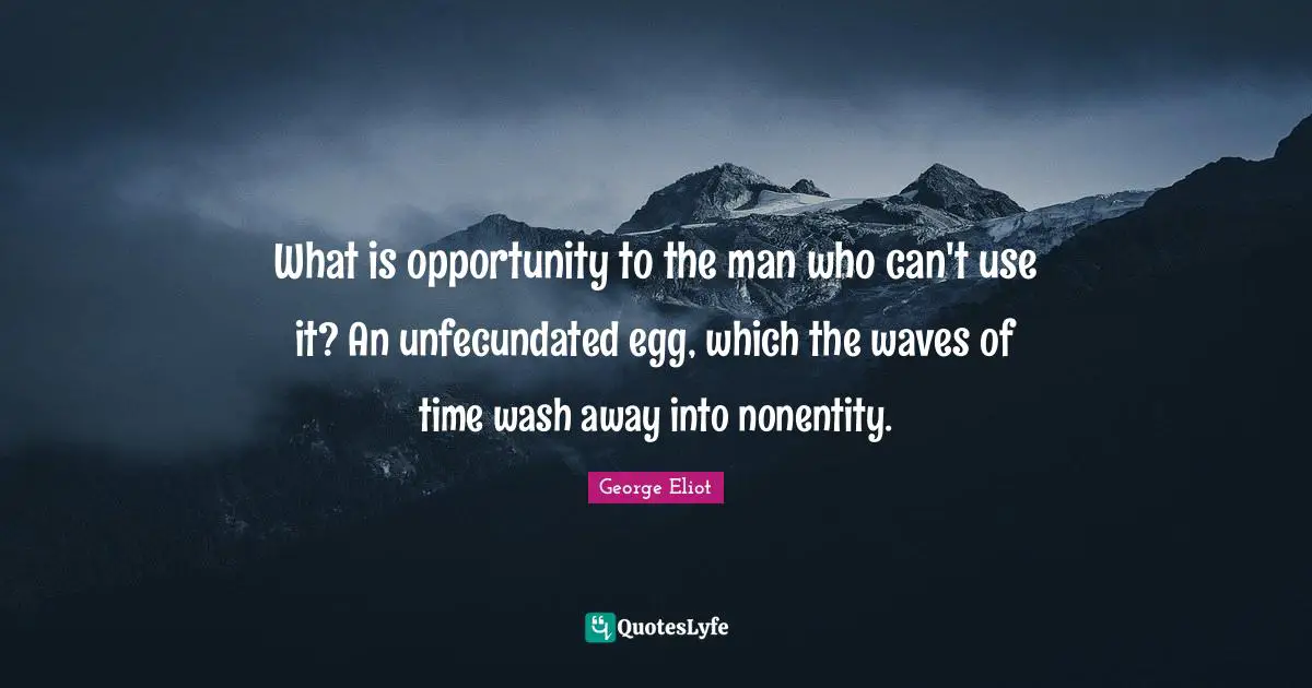 What is opportunity to the man who can't use it? An unfecundated egg, which the waves of time wash away into nonentity.