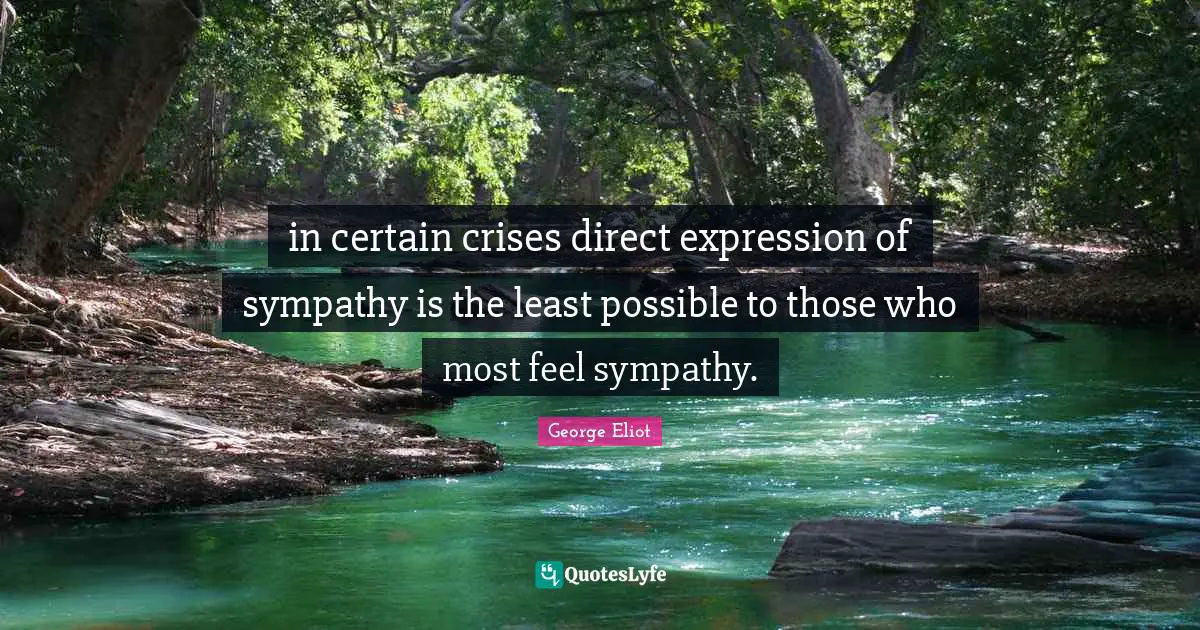 in certain crises direct expression of sympathy is the least possible to those who most feel sympathy.