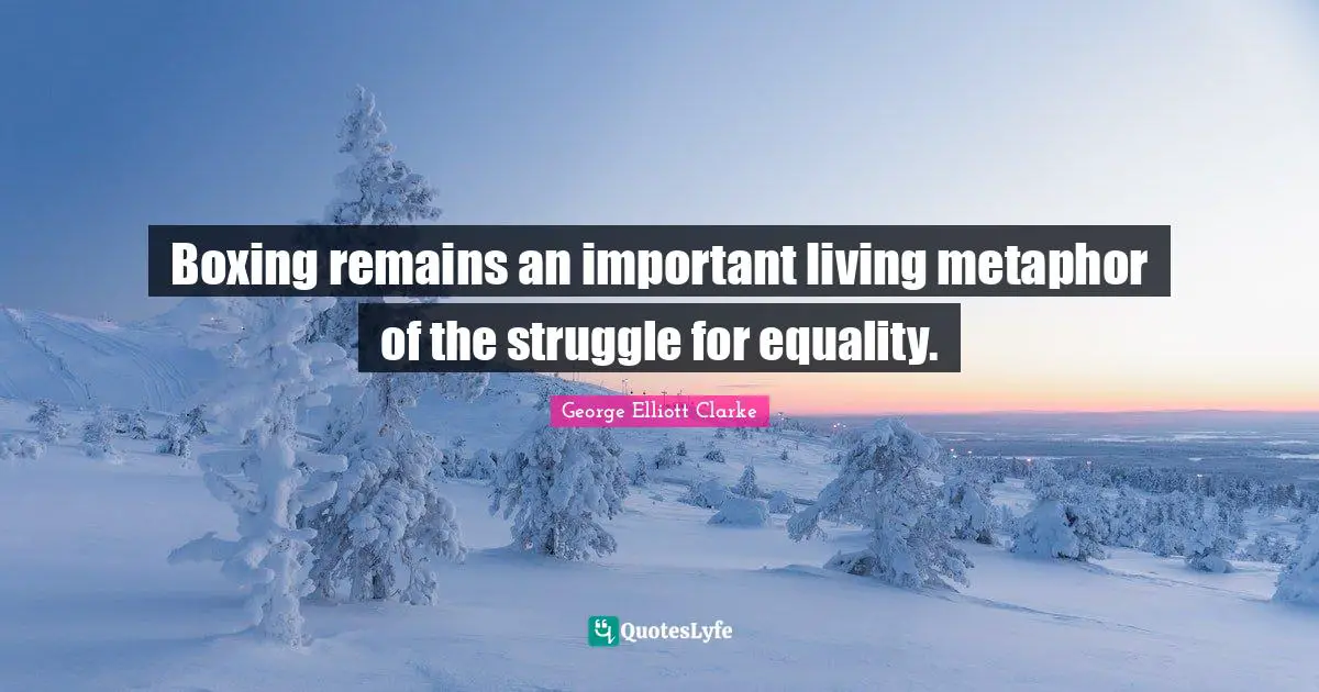 Boxing remains an important living metaphor of the struggle for equality.