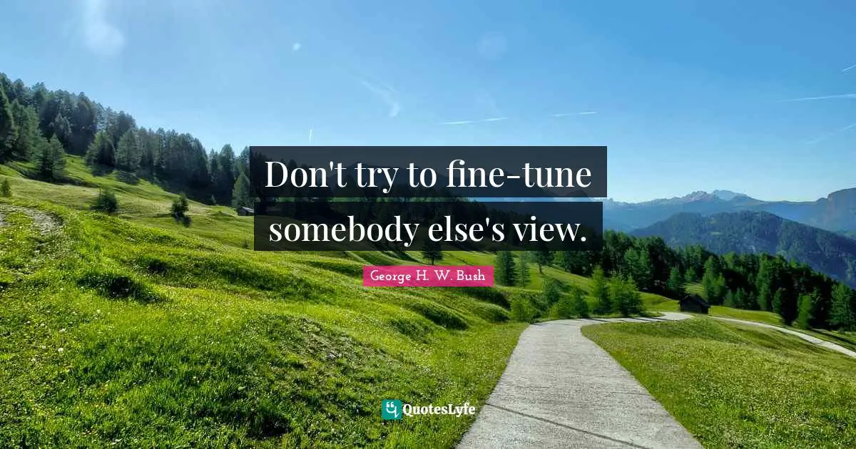 Don't try to fine-tune somebody else's view.