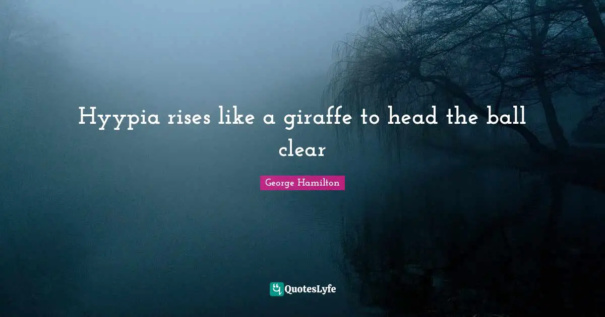 Hyypia rises like a giraffe to head the ball clear