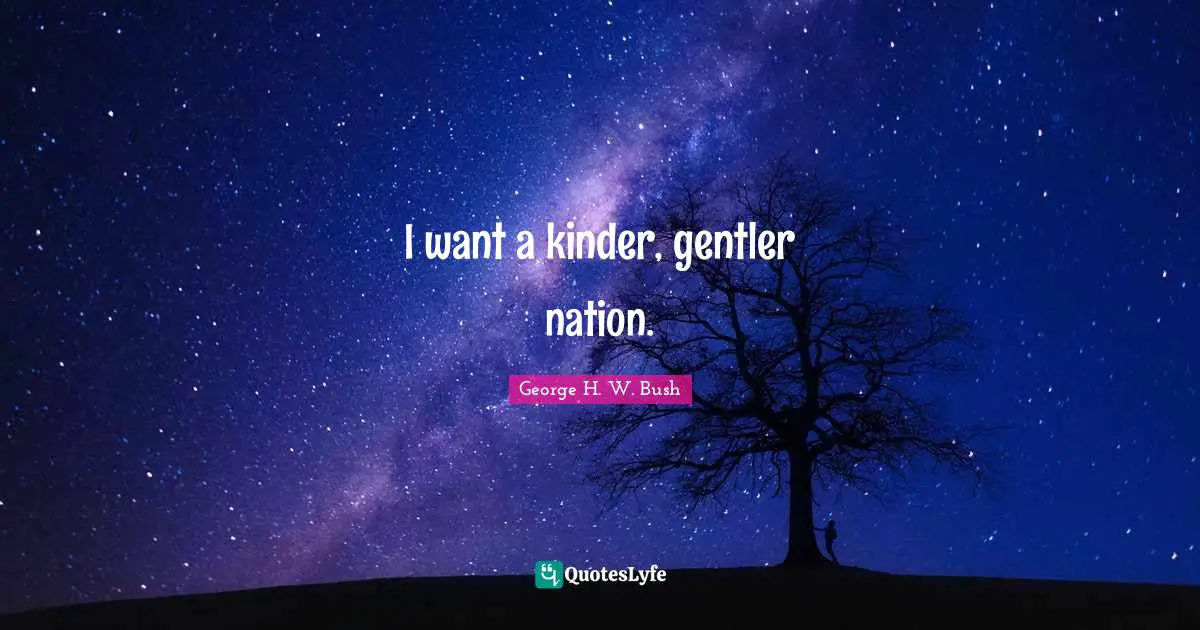 I want a kinder, gentler nation.