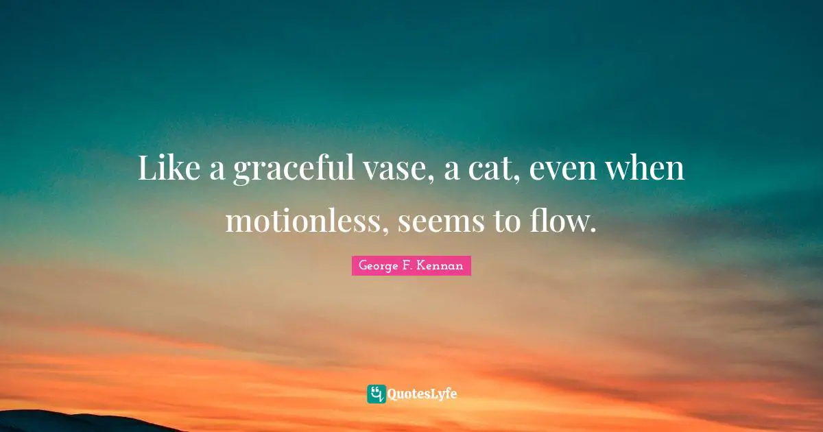 Like a graceful vase, a cat, even when motionless, seems to flow.