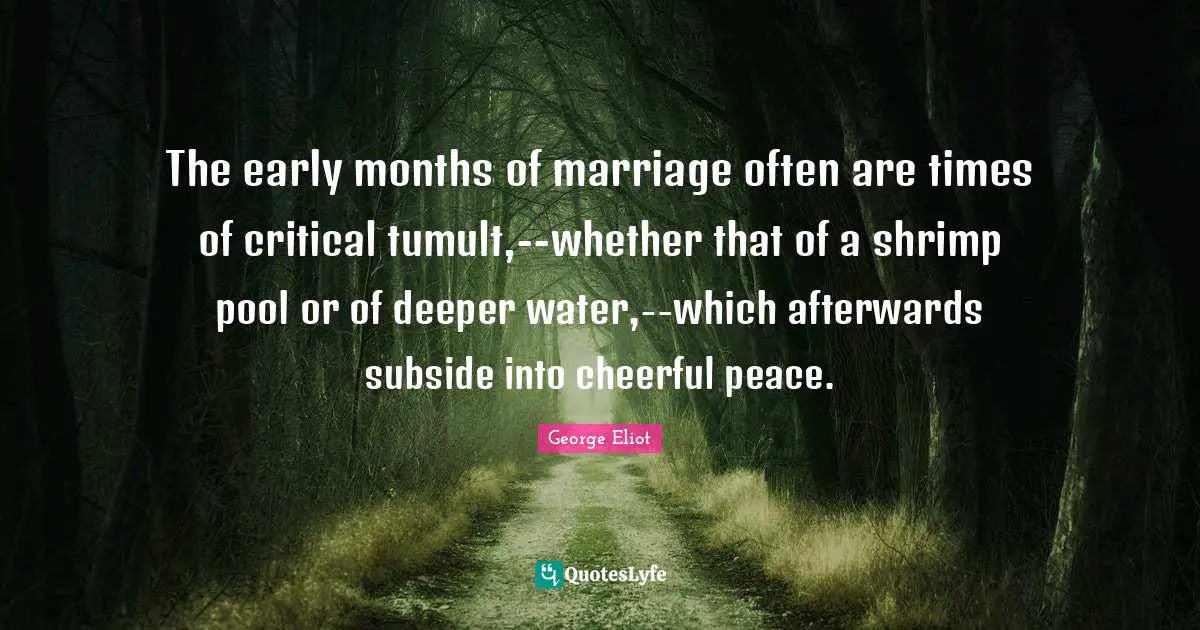 The early months of marriage often are times of critical tumult,--whether that of a shrimp pool or of deeper water,--which afterwards subside into cheerful peace.