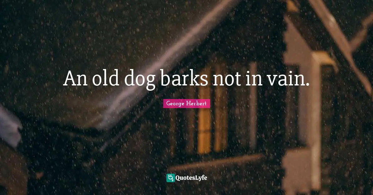 An old dog barks not in vain.