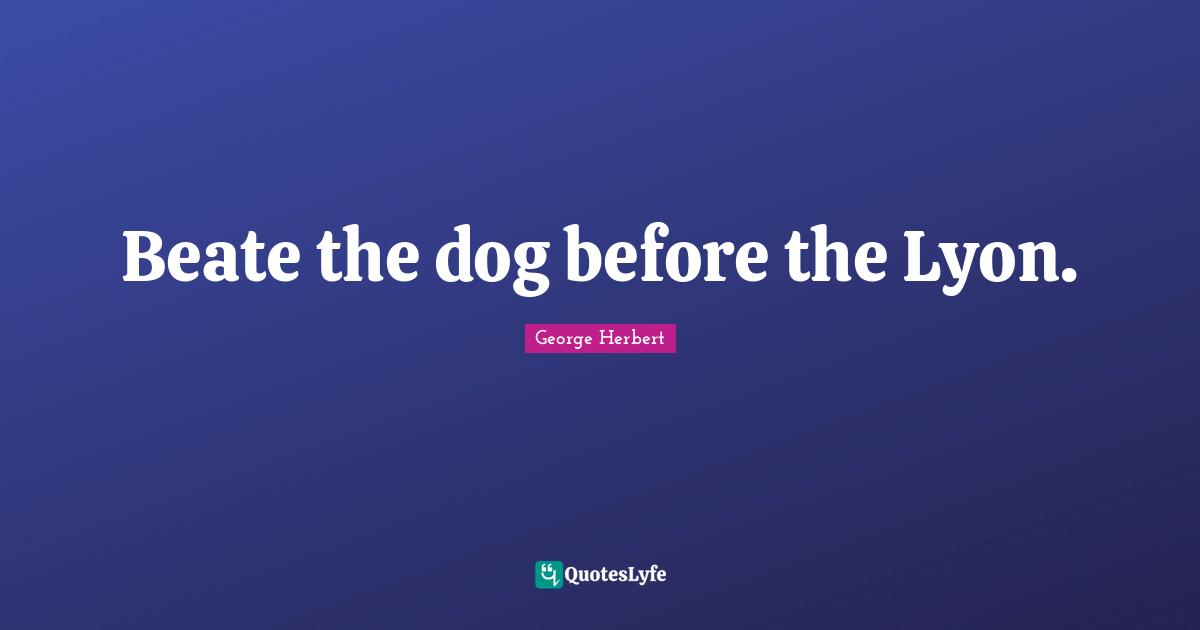 Beate the dog before the Lyon.