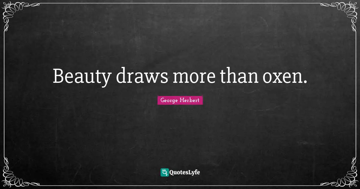 Beauty draws more than oxen.