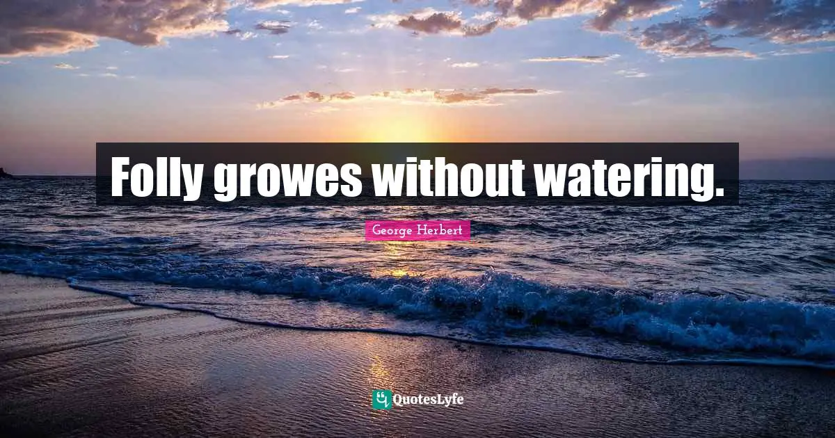 Folly growes without watering.