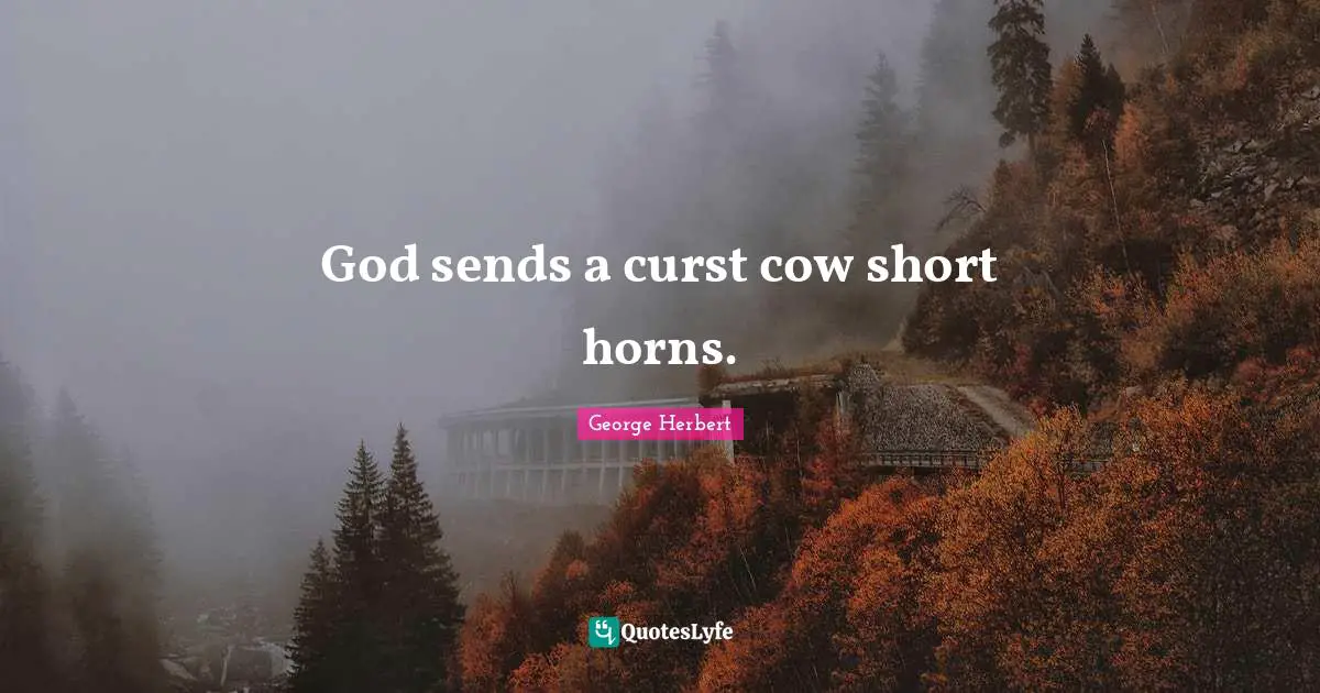 God sends a curst cow short horns.
