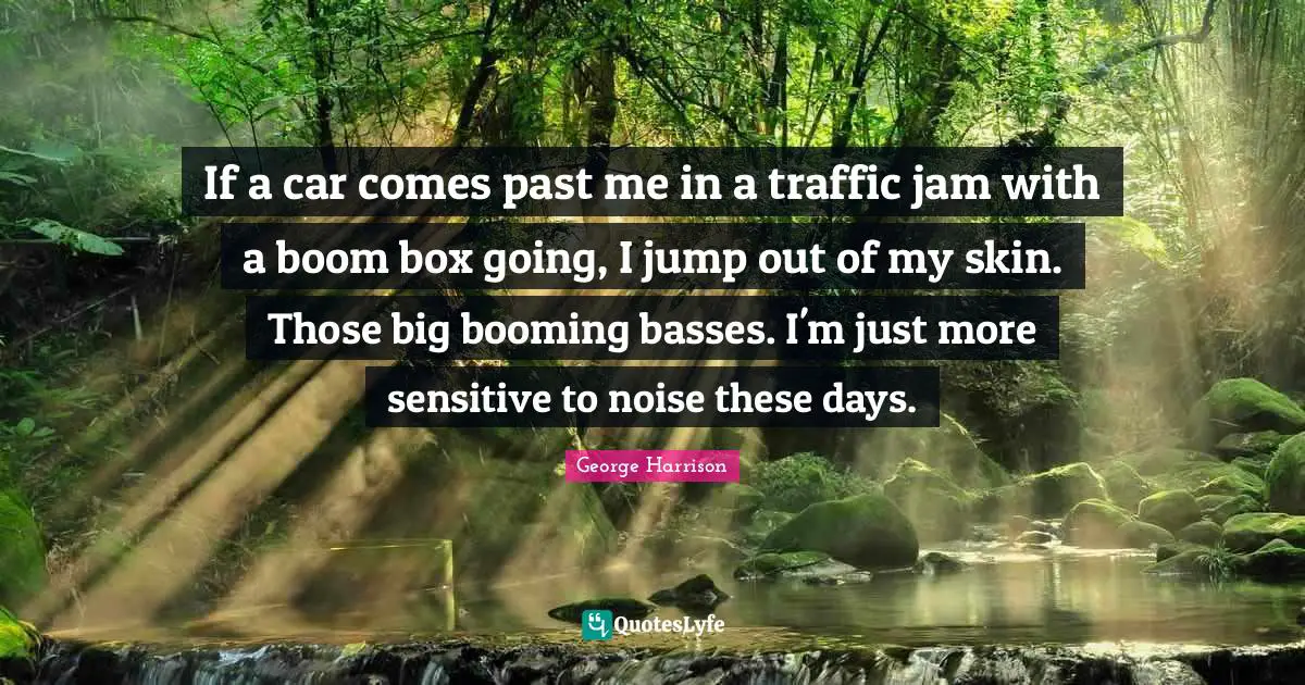 If a car comes past me in a traffic jam with a boom box going, I jump out of my skin. Those big booming basses. I'm just more sensitive to noise these days.