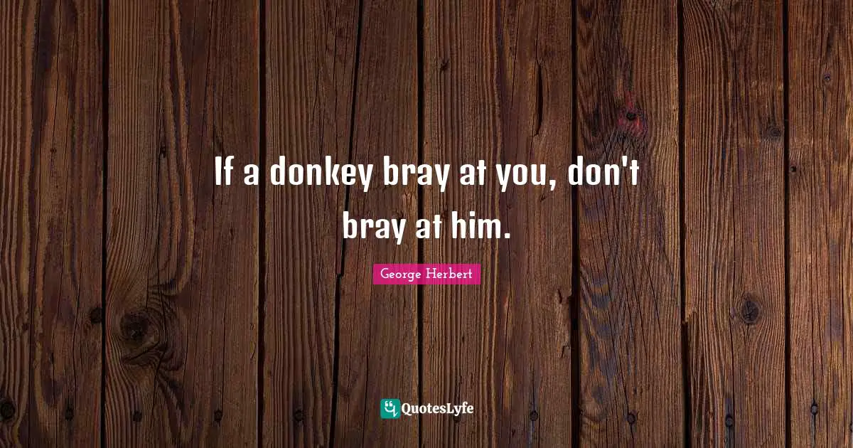 George Herbert Quotes: "If a donkey bray at you, don't bray at him."