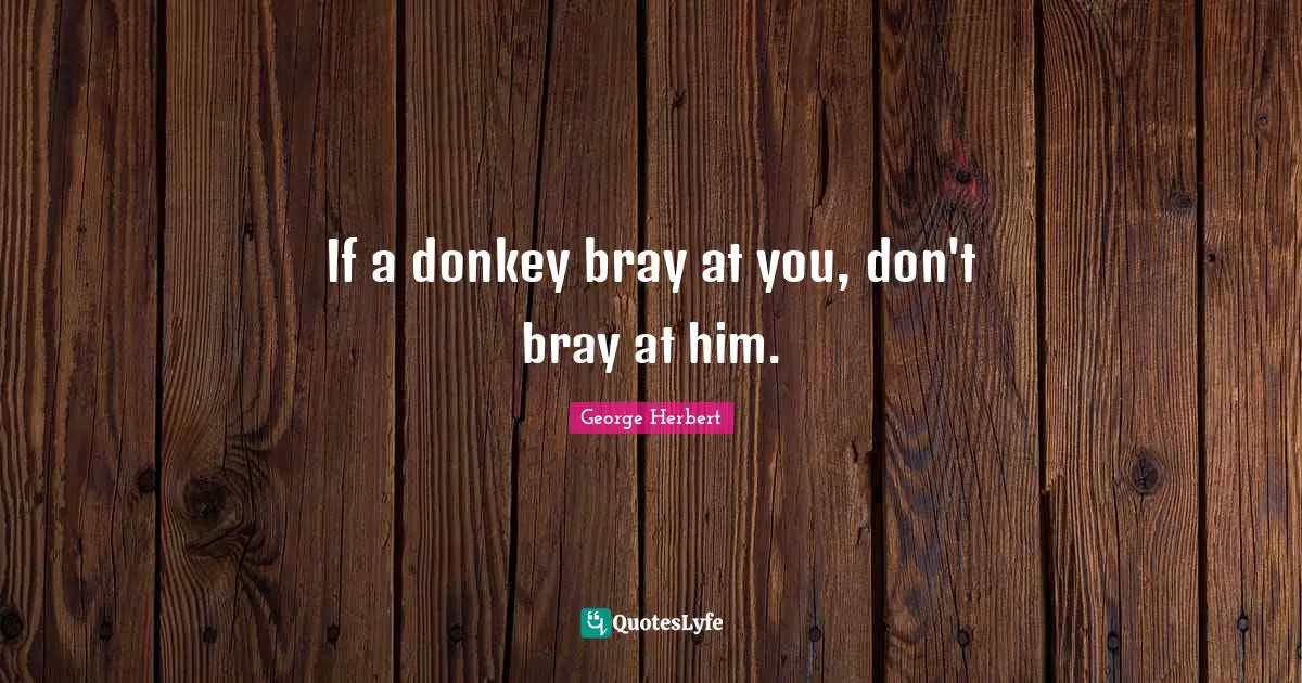 If a donkey bray at you, don't bray at him.