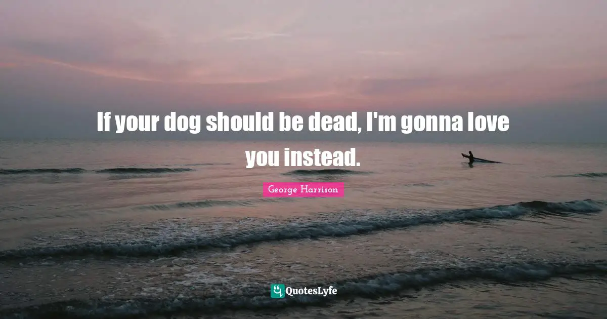 If your dog should be dead, I'm gonna love you instead.