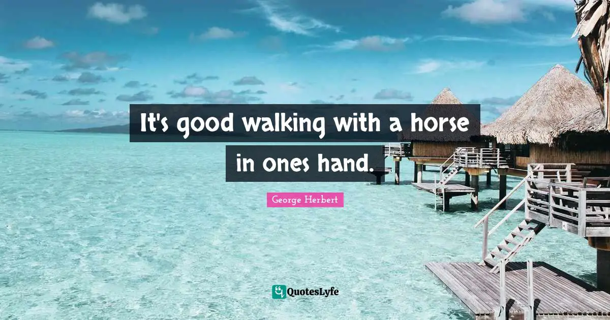 It's good walking with a horse in ones hand.