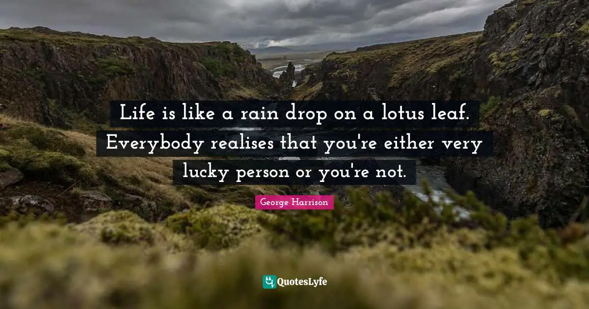 Life is like a rain drop on a lotus leaf. Everybody realises that you're either very lucky person or you're not.